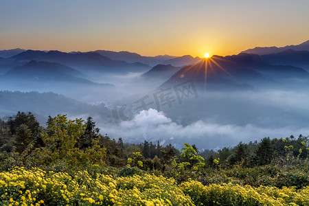 菊花太阳和云海摄影图