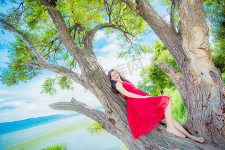 树干上侧躺的红裙美女