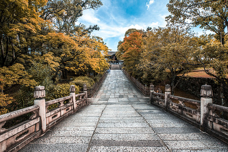 摄影日本摄影照片_通往寺庙庭院石板桥摄影图