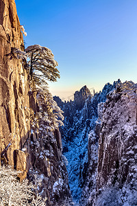 山谷摄影照片_冬天松树雪和山谷摄影图