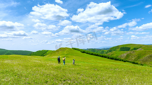 内蒙古高山草原绿色景观摄影图