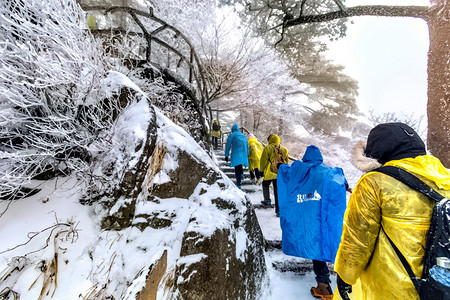 雪松树摄影照片_冬天冰雪人物和松树的照片摄影图