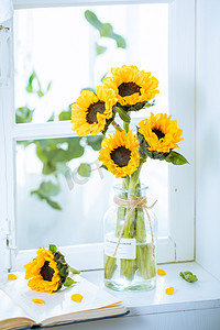 三伏摄影照片_放在窗台上的向日葵和书
