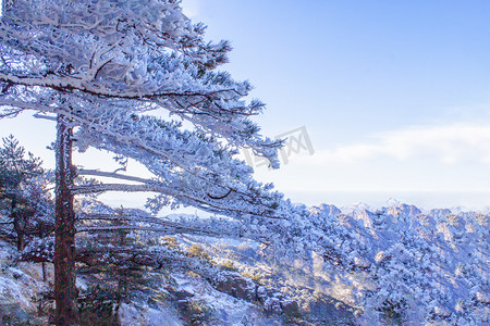 雪摄影照片_冬季树木山峰和雪的照片