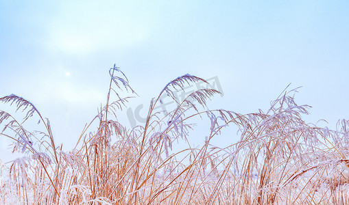 内蒙古冬季雪景