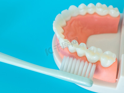 爱牙日护理健康牙齿模型白天牙齿牙刷室内刷牙摄影图配图