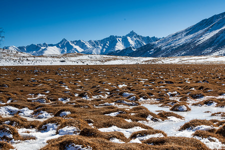 西藏八宿美景白天雪山室外摄影摄影图配图