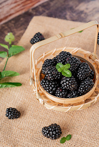 黑莓  生鲜水果食品静物摆拍摄影图配图