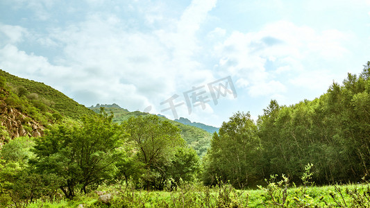 逆光树林摄影照片_高山树木植被中午植被风景户外摄影图配图