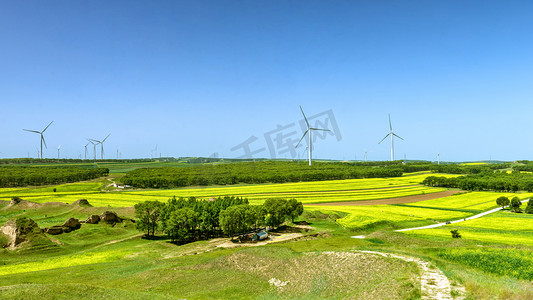 菜花玉石摄影照片_山村农田景观上午农田风景旅游摄影图配图