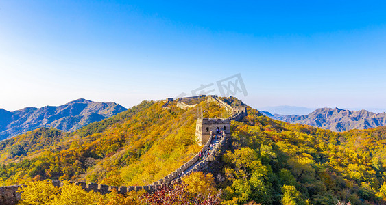 黄花水长城摄影照片_北京长城秋景登山摄影图配图