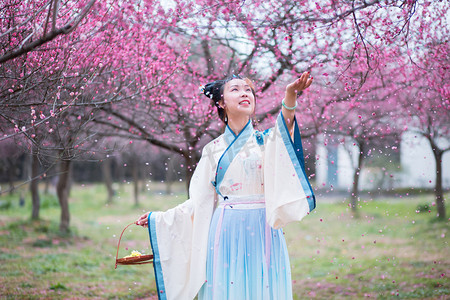 阿里山的姑娘摄影照片_蓝色汉服女子户外梅花赏花摄影图配图