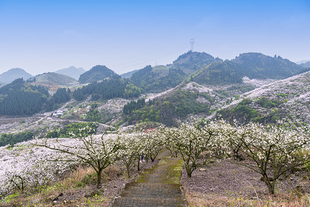 春天踏青春游摄影照片_春游踏青上午山峰花海室外赏花摄影图配图