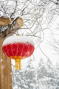 冬季树枝摄影照片_落雪红灯笼白天冬季雪景室外下雪摄影图配图