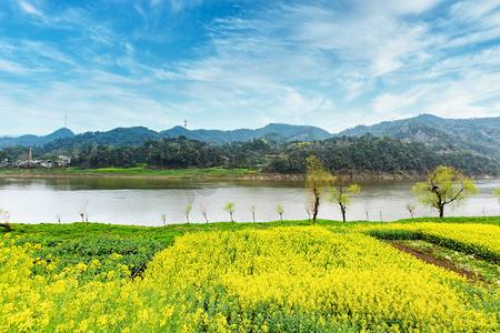 江边白昼油菜花山区无摄影图配图