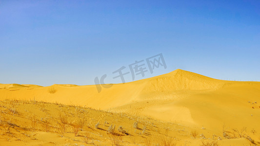 春季沙漠上午沙丘春季素材摄影图配图