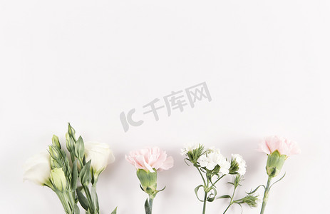 纯色摄影照片_自然春天节日鲜花花朵白色纯色背景摆放摄影图配图