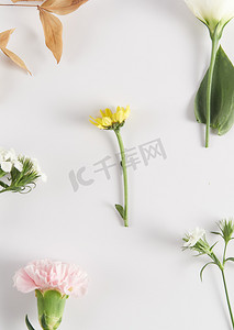 自然春天花朵白色背景桌面摆放摄影图配图