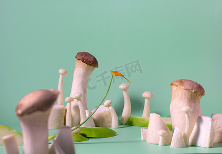 蘑菇大菜头红萝卜绿色背景