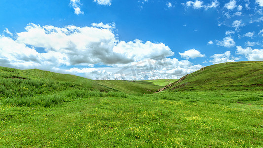 夏日草原上午草原夏季素材摄影图配图