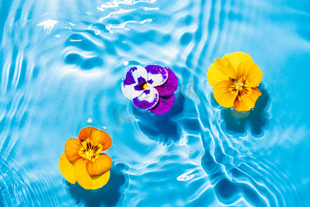 白露蓝色摄影照片_水中漂浮的花朵白天水中漂浮的花朵室外水中漂浮摄影图配图