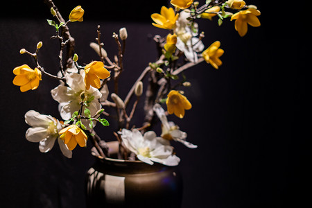 日式插花摄影照片_花卉室内花朵纯色艺术摄影图配图