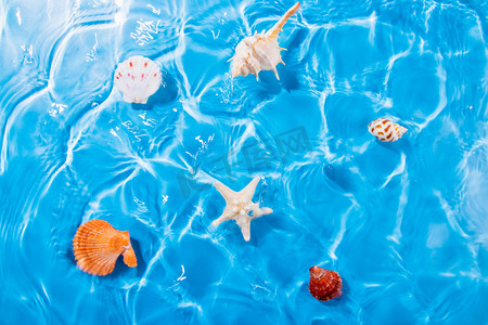 白露蓝色摄影照片_贝壳和水波白天贝壳和水波室外夏日度假摄影图配图