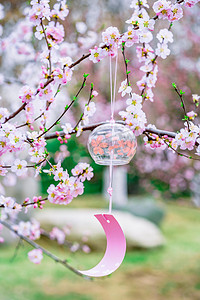 春天桃花白天桃花和风铃室外桃花和风铃摄影图配图