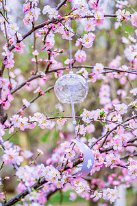 春季植物鲜花摄影照片_春季风铃白天桃花和风铃室外春天摄影图配图