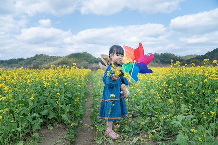 黄花鸢尾草摄影照片_春天油菜花春季女孩风车油菜花地赏花摄影图配图