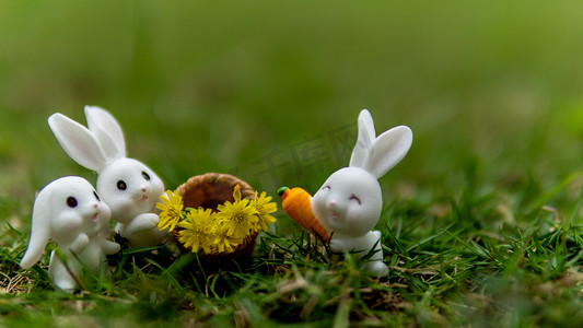 兔子白天复活节户外复活节摄影图配图