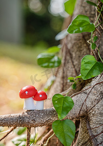 绿植春天阳光蘑菇树木摄影图配图