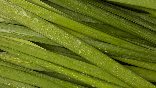 蔬菜平铺摄影照片_蔬菜清晨韭菜菜市场平铺摄影图配图