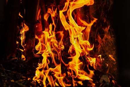 傍晚户外烈火在竹子上燃烧摄影图配图