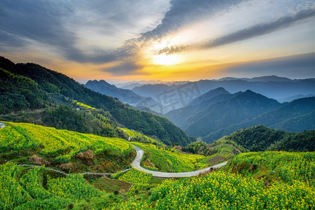 霞光清晨油菜花山地无摄影图配图