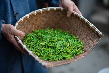 手绘茶叶条索摄影照片_茶叶鲜叶下午茶室外炒茶摄影图配图