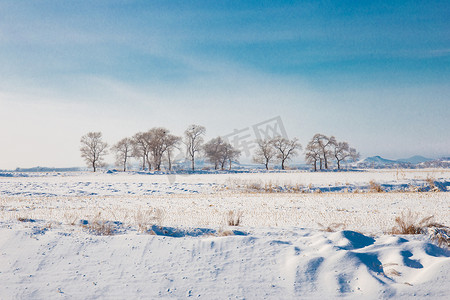 北方月饼摄影照片_北方冬季冬天雾凇雪景雪地滑雪树挂