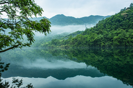 森林摄影照片_郴州小东江夏天风景山川河流湖南