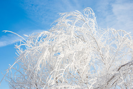 北方冬季冬天雾凇雪景雪地滑雪树挂