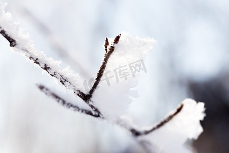 北方冬季冬天雾凇雪景雪地滑雪树挂