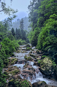 山涧溪水上午溪水夏季素材摄影图配图