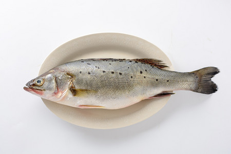 海鲜白天鲈鱼白色瓷盘摆放摄影图配图