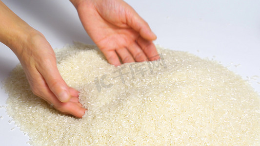 双手筛选捧起大米粒粮食稻谷