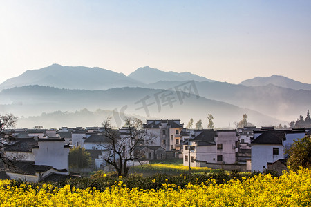 黄山市摄影照片_乡村白昼油菜花山地无摄影图配图