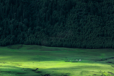 草原清晨毡房山坡放牧摄影图配图