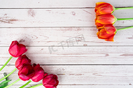 郁金香花朵白天郁金香桌面上郁金香摄影图配图