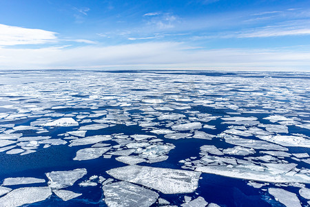 南极度夏浮冰大海漂流摄影图配图