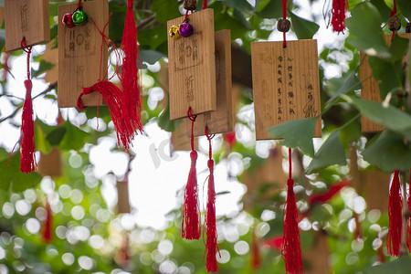 七夕节摄影照片_七夕节树上挂着的许愿牌下午许愿牌寺庙无摄影图配图
