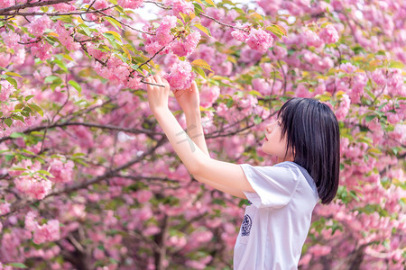 樱花人像早上美少女户外赏花摄影图配图