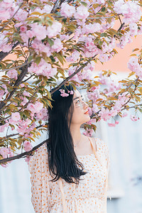 樱花白天中午美少女美少女赏花春游摄影图配图